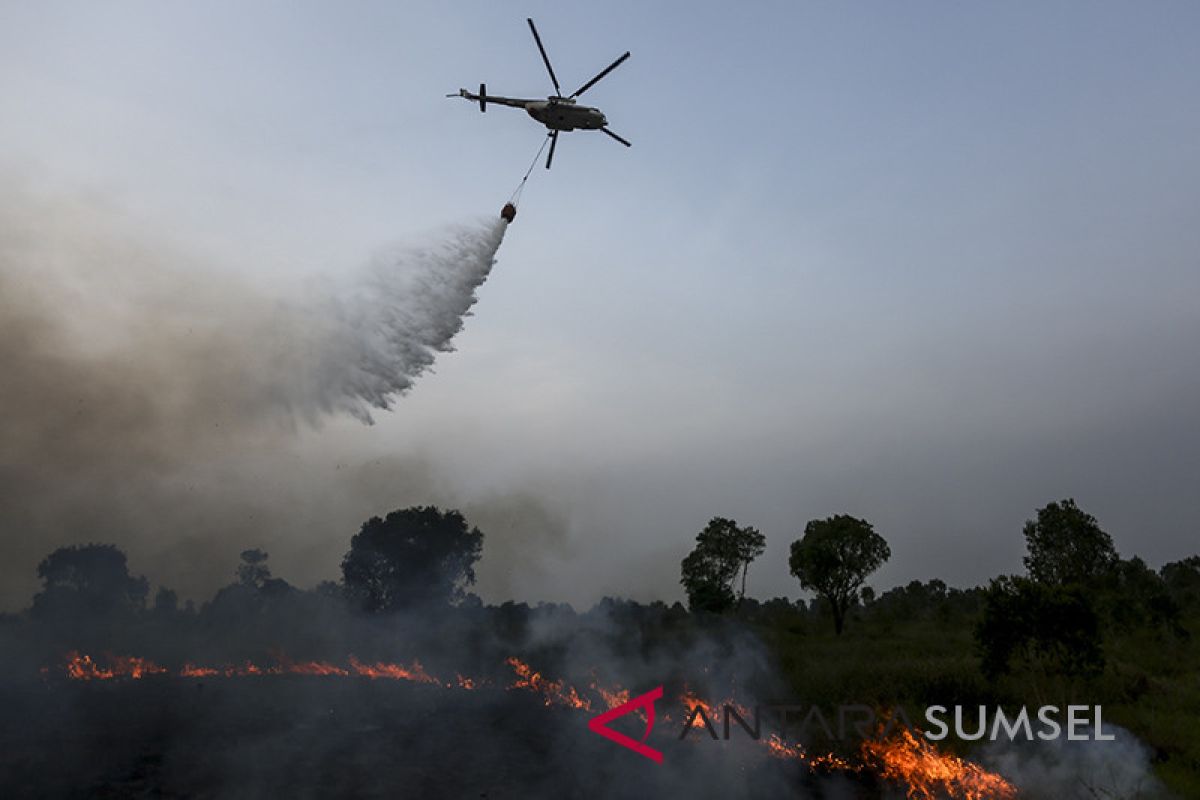 BPBD maksimalkan operasi udara pantau daerah rawan kebakran lahan