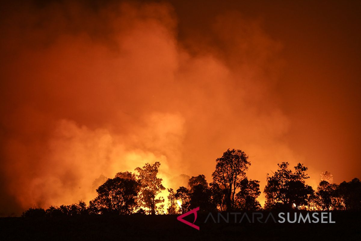 Pembalak liar bakar pondok penjaga hutan bukit Betabuh