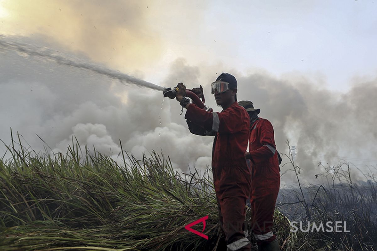 Gubernur minta semua pihak waspada kebakaran hutan