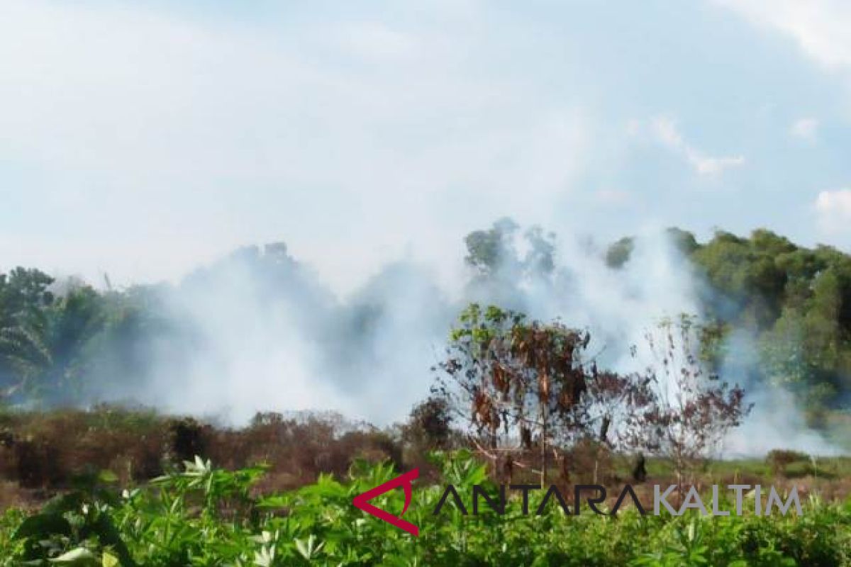 Kebakaran lahan gambut di Penajam makin meningkat