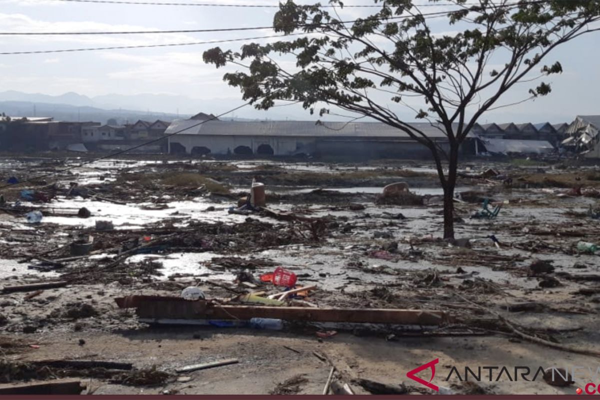 Warga Buol mengungsi di kantor bupati