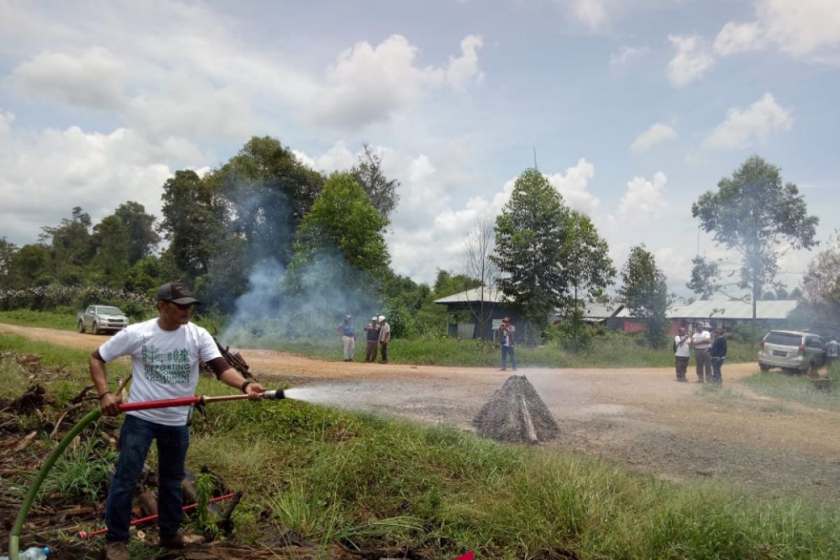 2.005 hektare lahan dan hutan Kalsel terbakar