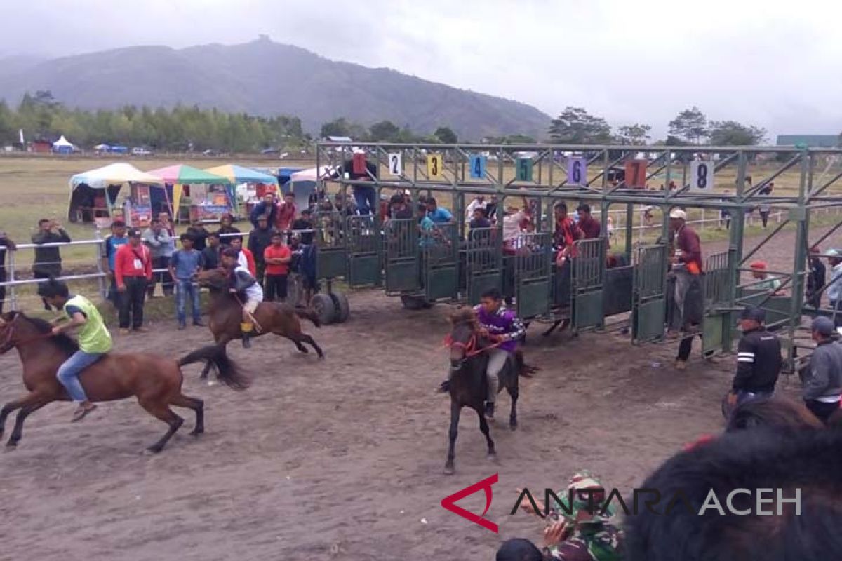 Wabup Aceh Tengah: pacuan kuda salah satu daya tarik wisata