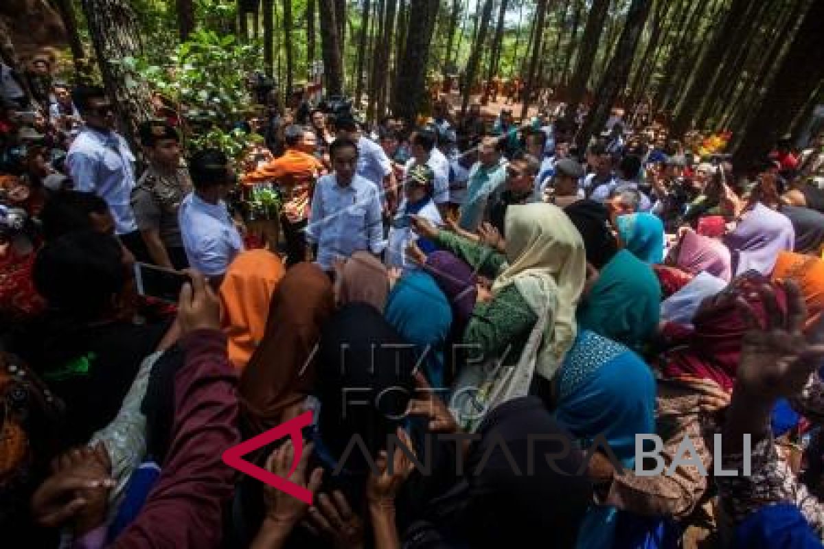 Presiden: hutan Indonesia terluas kesembilan di dunia