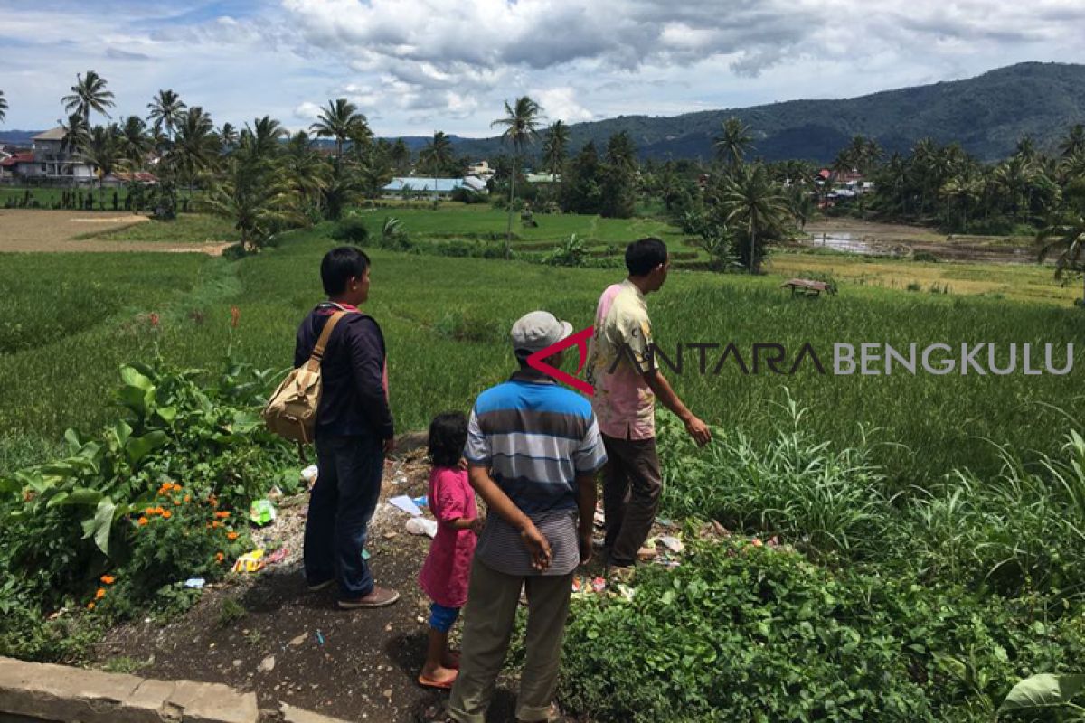 Puluhan hektare sawah petani Rejang Lebong terancam kekeringan