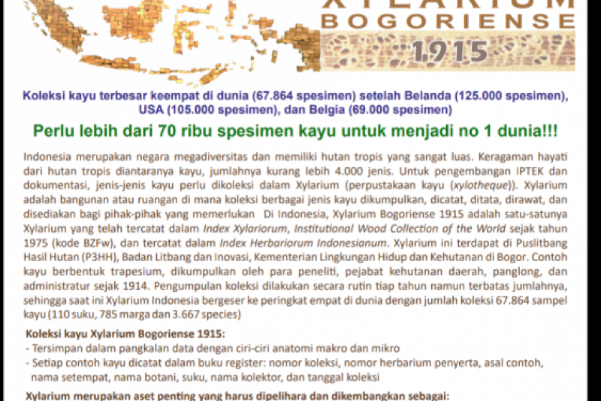 Koleksi kayu Indonesia peringkat pertama terbanyak dunia