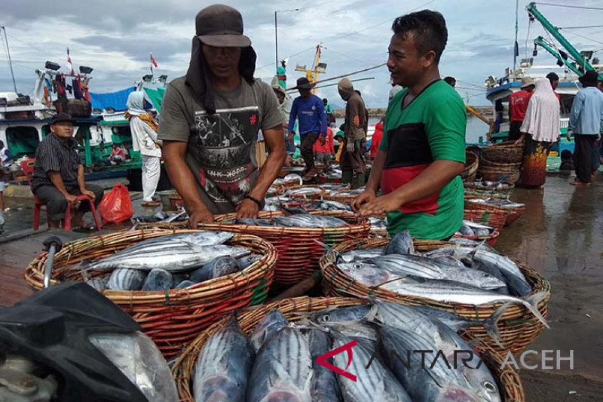 Harga ikan segar di Lhokseumawe tinggi