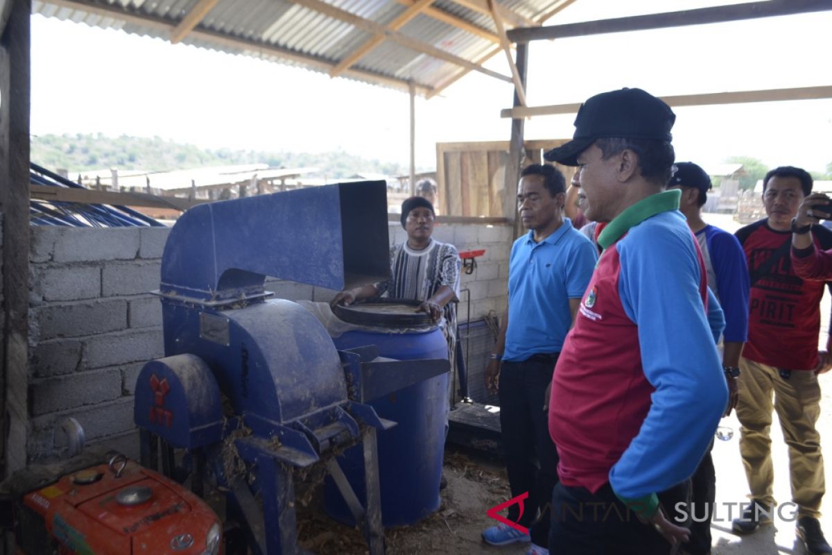 Wali kota harap industri pakan ternak berkembang