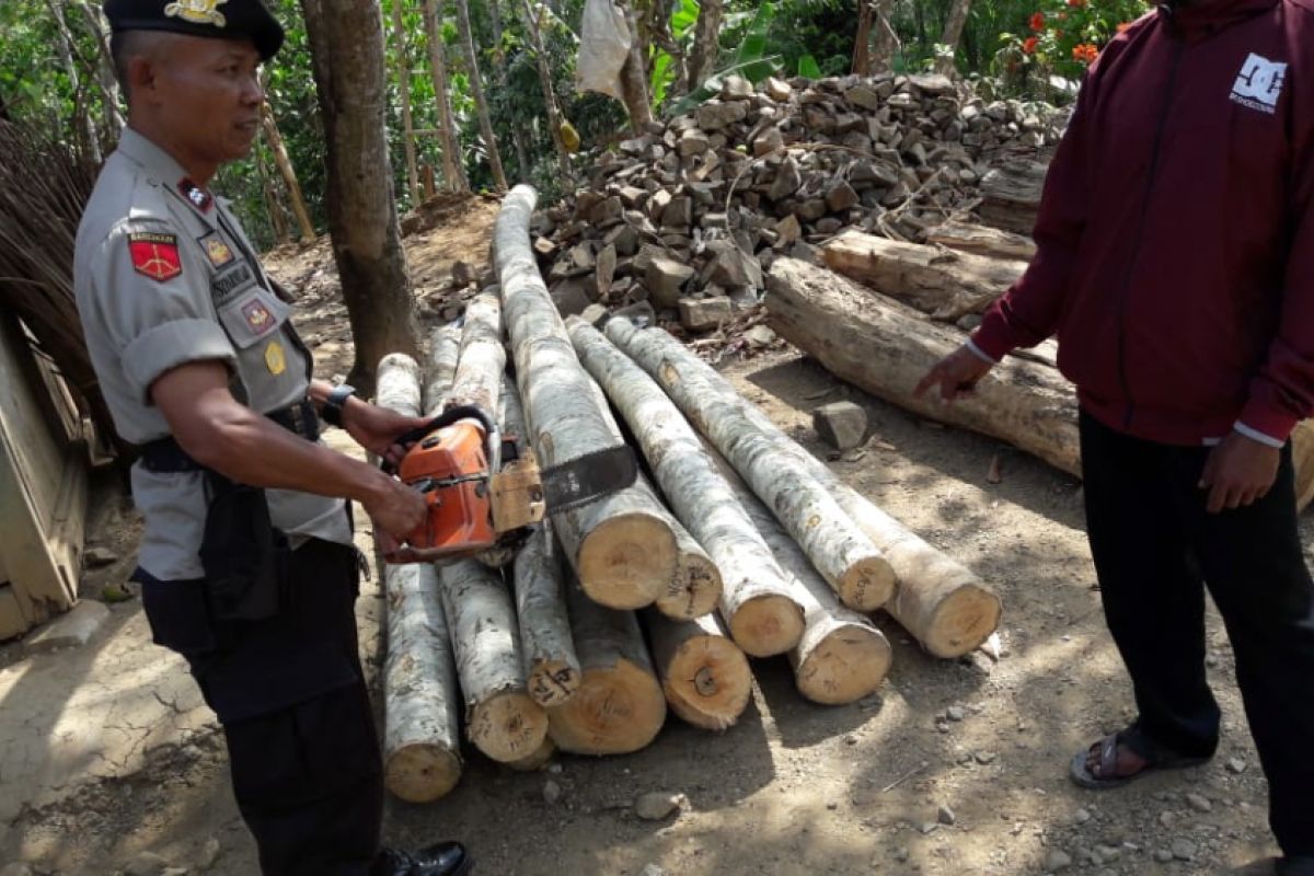 Petugas Amankan Tersangka Kayu Ilegal di Ponorogo