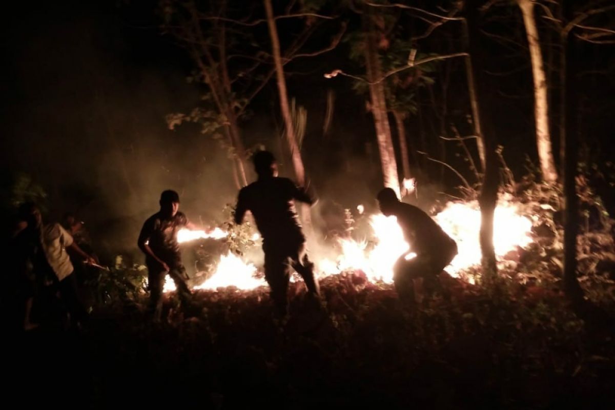 Hutan di Gunung Sadran Ponorogo Terbakar