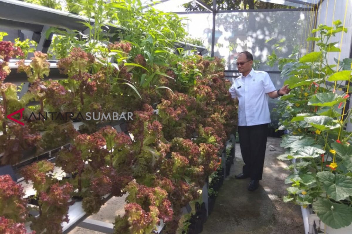 Masyarakat Pasaman konsumsi sayur dan buah masih rendah, tergantung pada beras