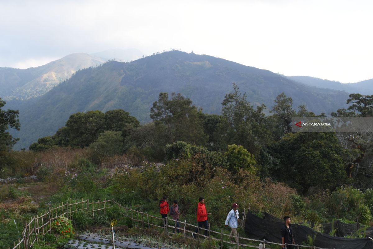 Wisata Lereng Gunung Lawu