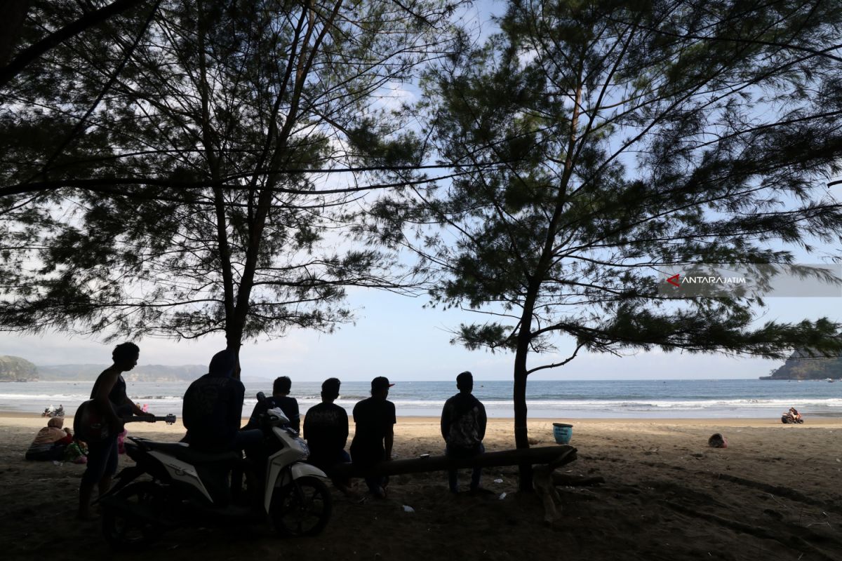 Wisata Pantai Sine Tulungagung