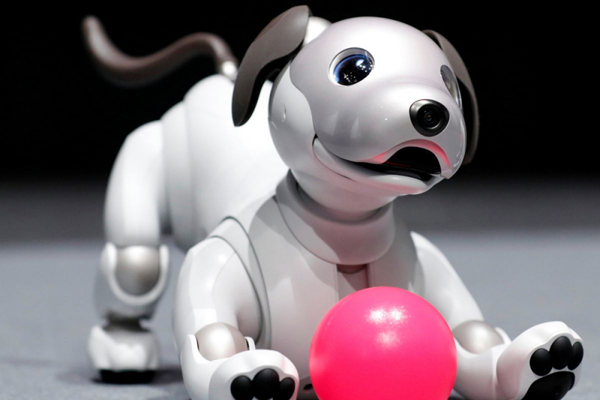 Robot Anjing Aibo Punya Memori Kenali 100 Wajah Manusia