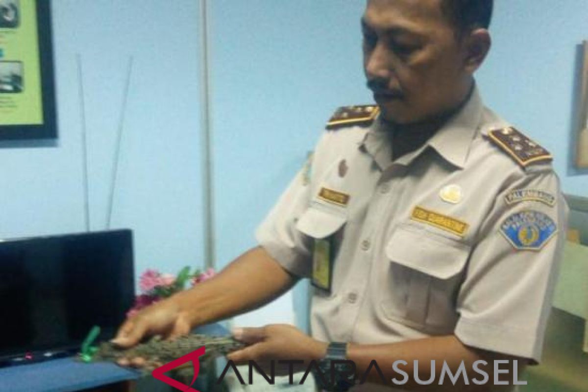 SKPIM Palembang ajak masyarakat jaga sumberdaya perikanan