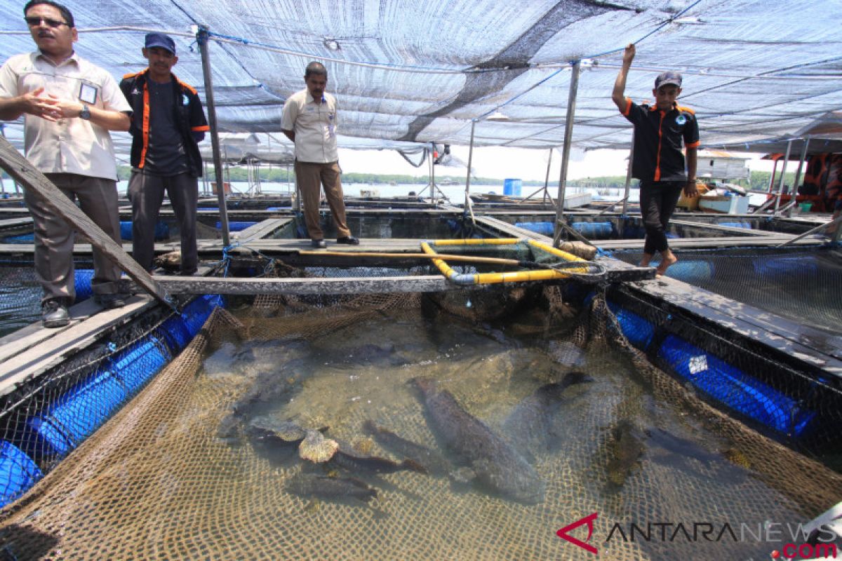 Budi daya perikanan sangat menjanjikan