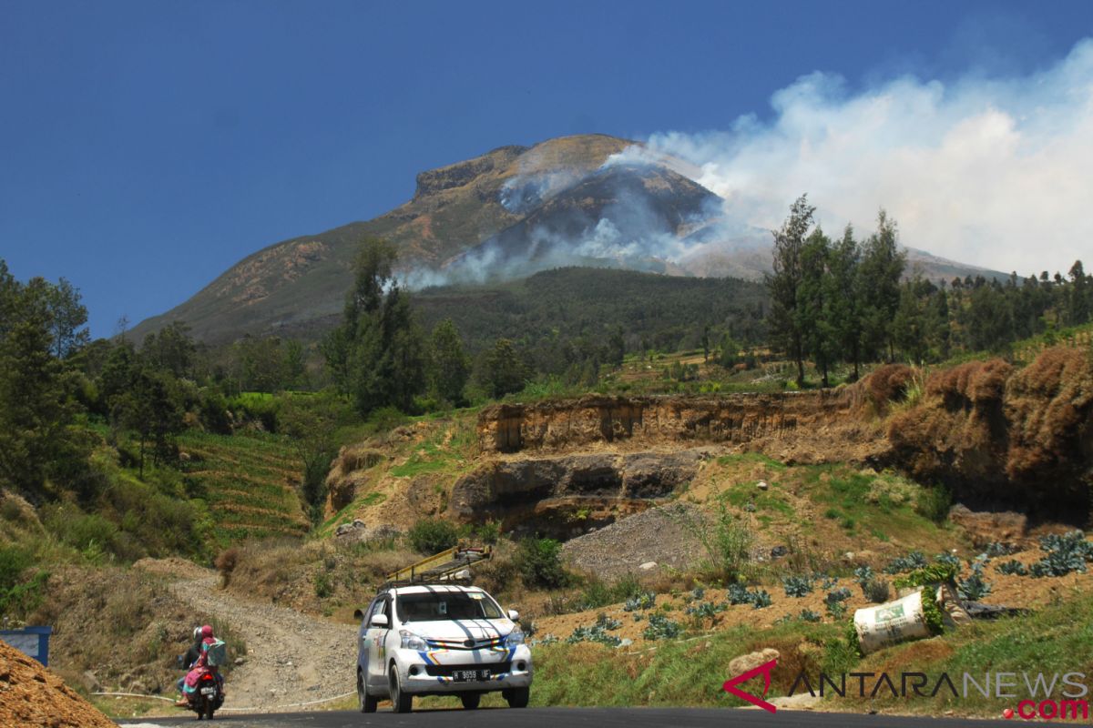 Fire razes 9.5-hectare forest area in Mt Sindoro, C Java