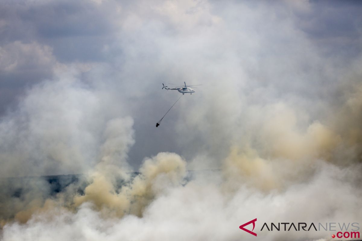 Area hutan-lahan yang terbakar di Ogan Komering Ilir meluas