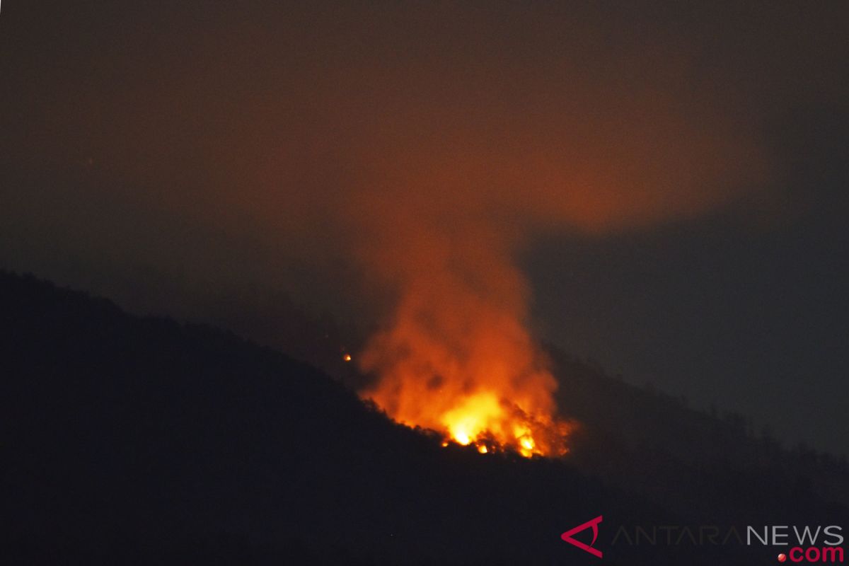 Sekitar 30 hektare area hutan Gunung Lawu terbakar