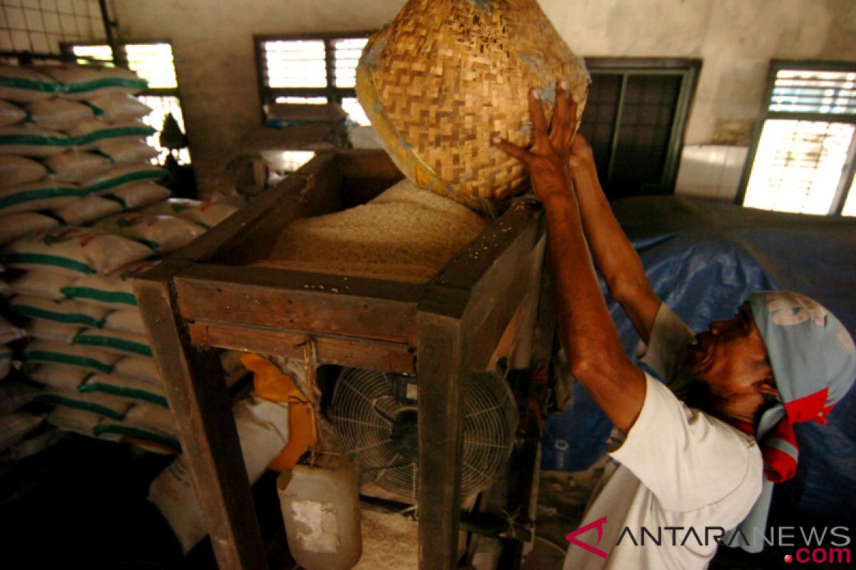 Petani sarankan Kementan tinjau kondisi paceklik