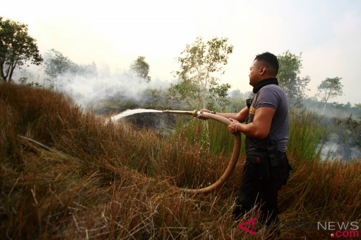 Walhi: rawa gambut bukan lahan tidak produktif