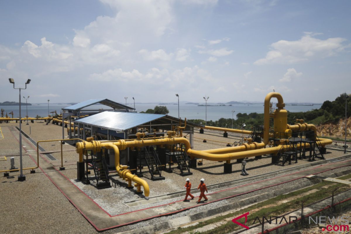 Pemping Island ready to serve  industry: PGN