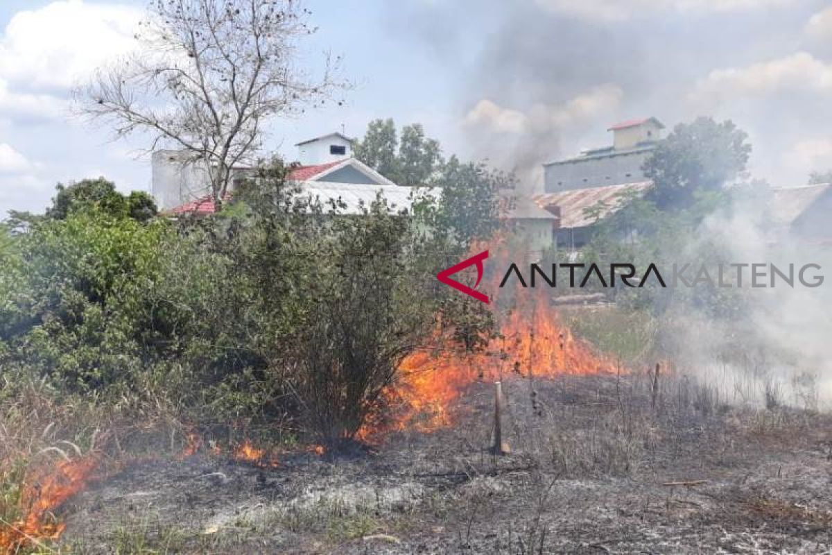 Kebakaran lahan di Palangka Raya dekati pemukiman