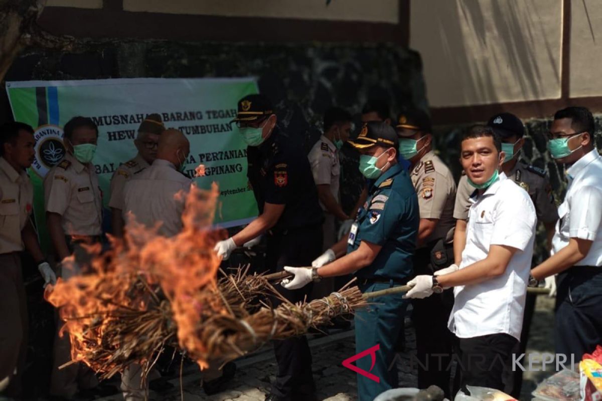 Daging dan tumbuhan hasil tegahan dimusnahkan