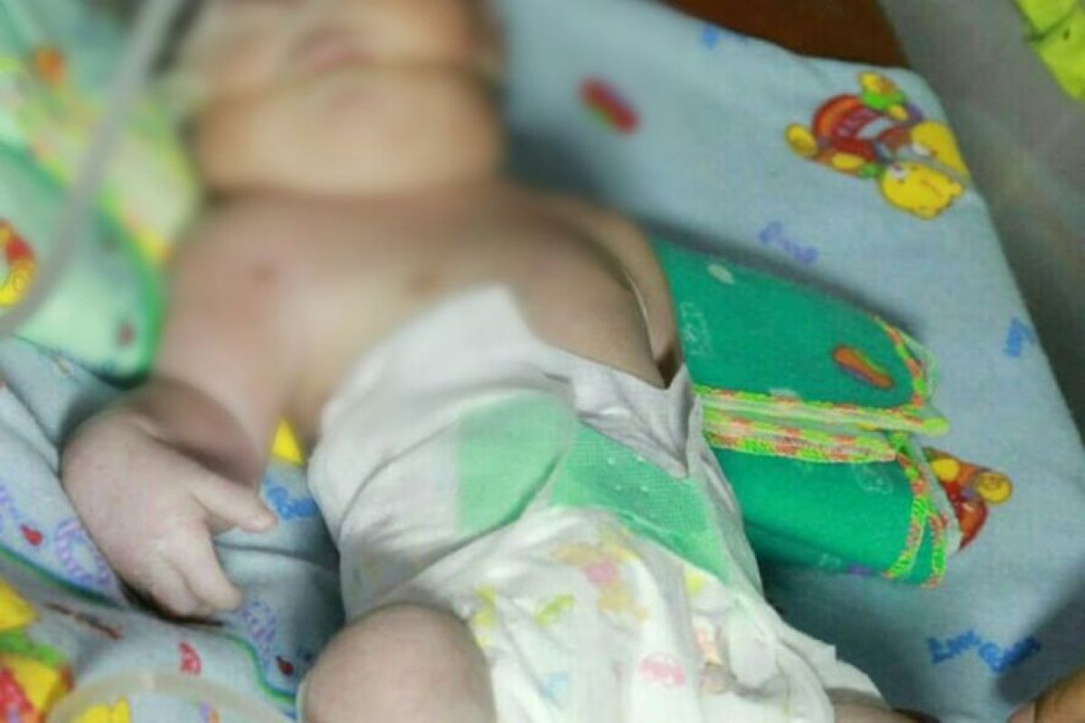 Bayi Baru Lahir Wajib Daftarkan BPJS Kesehatan