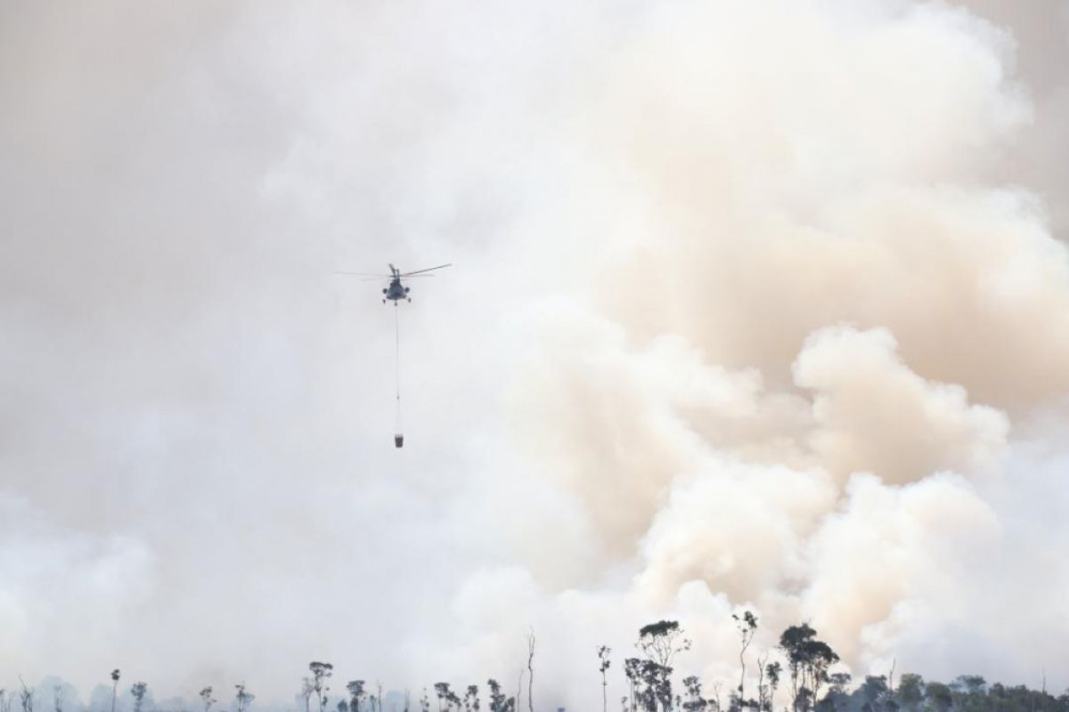 Empat helikopter padamkan lima hektare lahan terbakar di Jejangkit