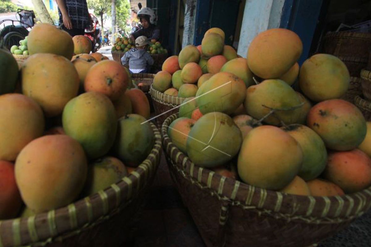 Kulit mangga solusi atasi cemaran minyak