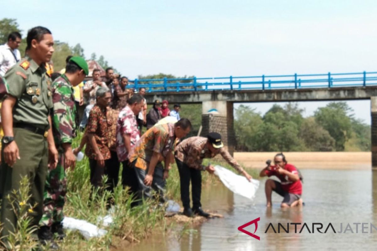 Ratusan ribu bibit ikan ditebar di bendungan Sungai Kramat Batang