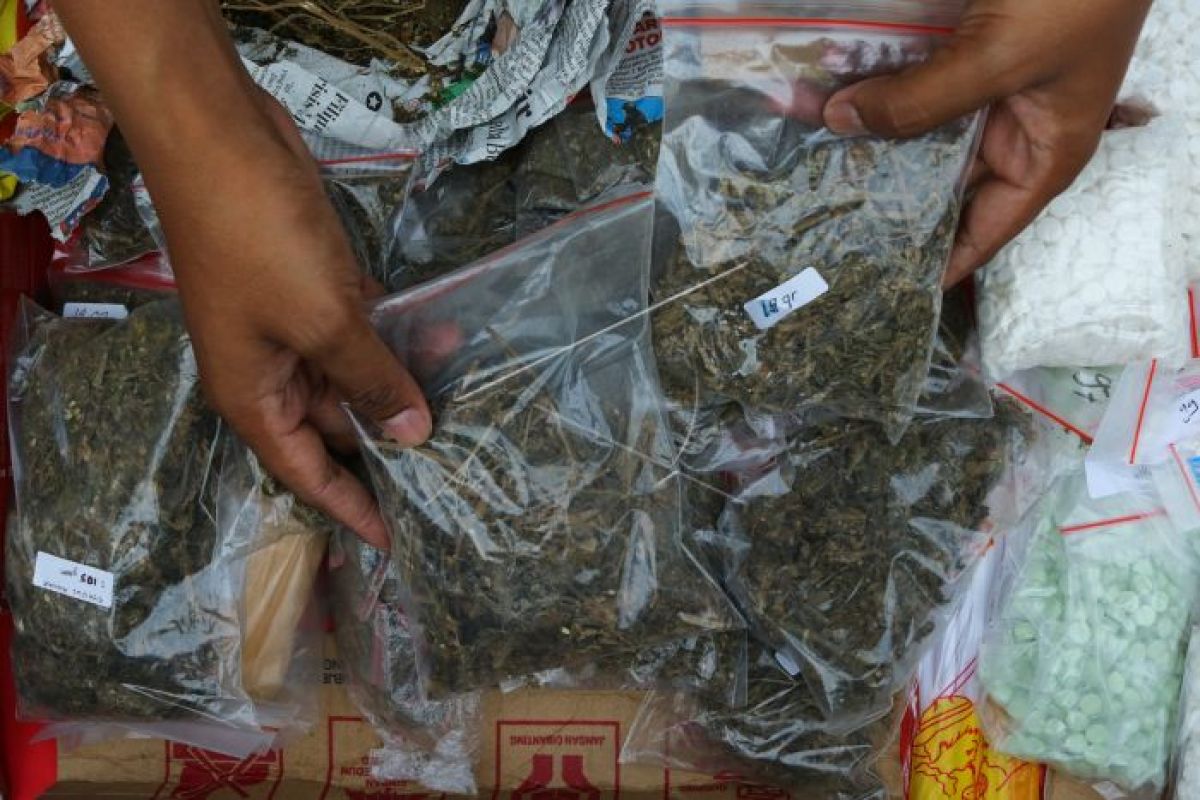 Petugas sita 500 bungkus daun ganja kering asal Aceh