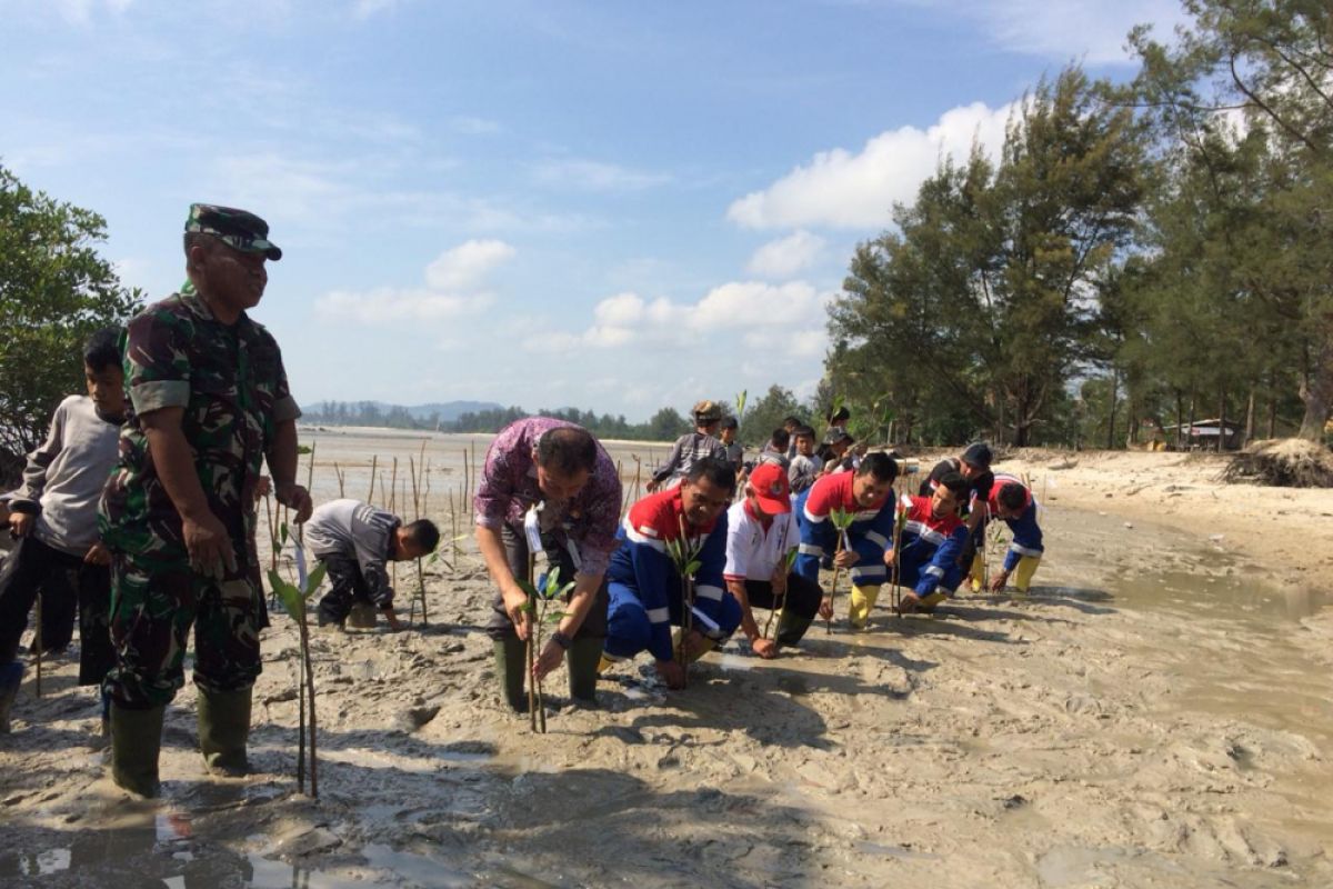Taman Edukasi Mangrove Pertamina untuk pesisir Pangkal Pinang