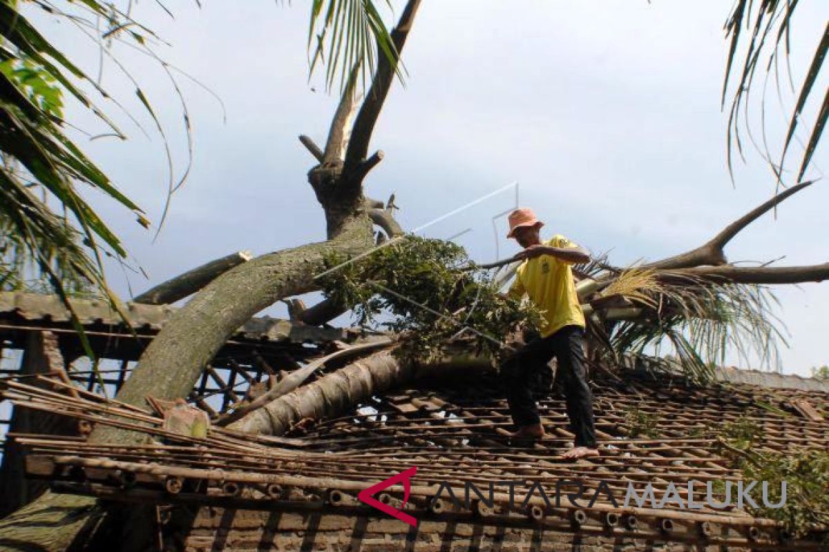 Stasiun Meteorologi Pattimura peringatkan angin kencang