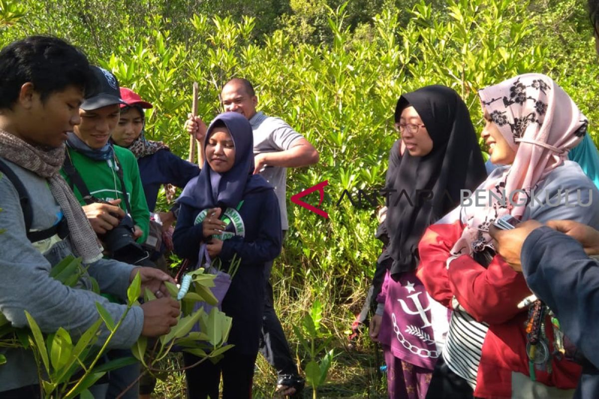 Mahasiswa Bengkulu pelajari fungsi ekosistem mangrove