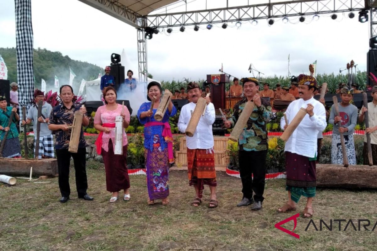 Karangasem gelar Festival Subak II