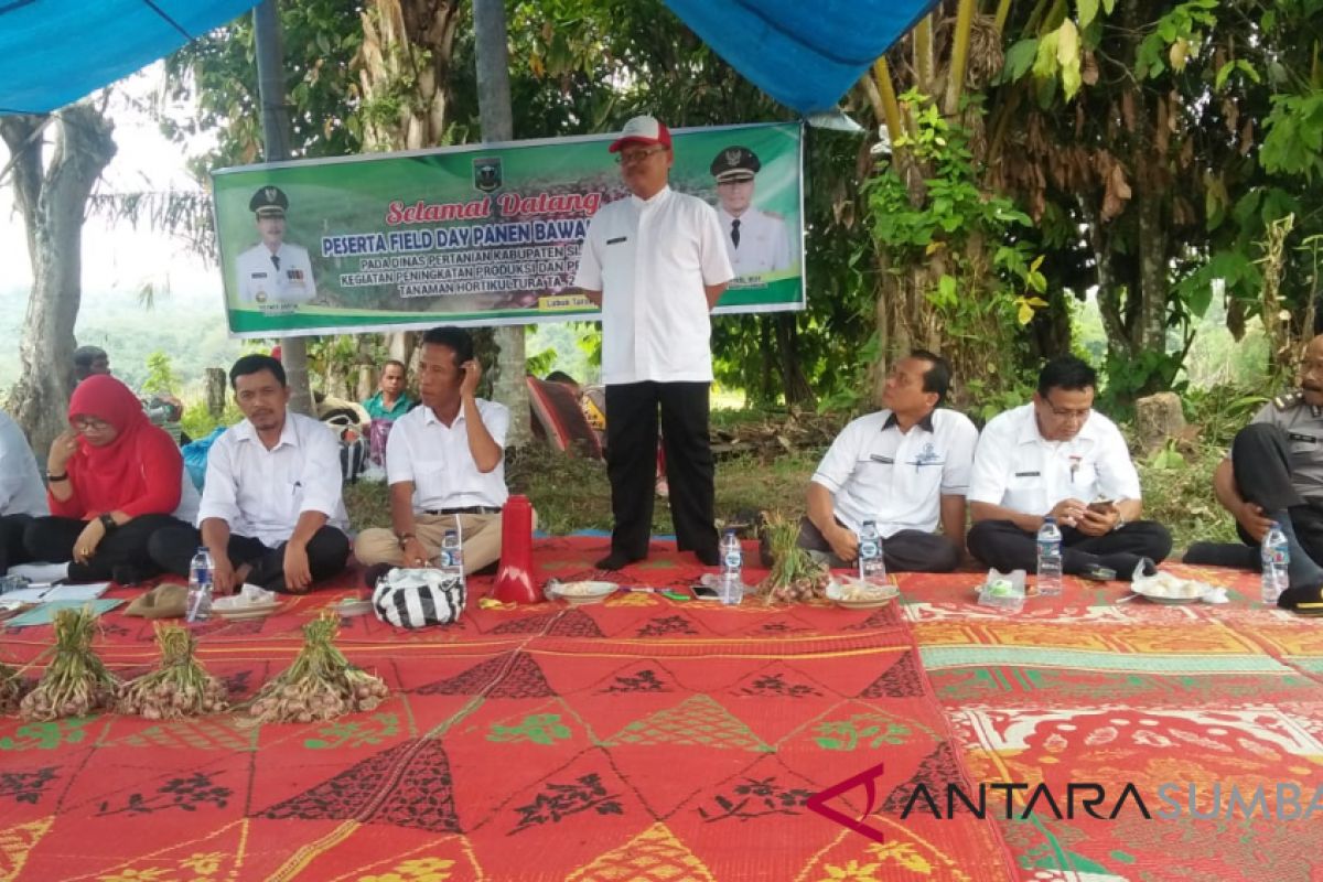 Panen bawang merah, kelompok tani Lubuk Tarok temu lapangan