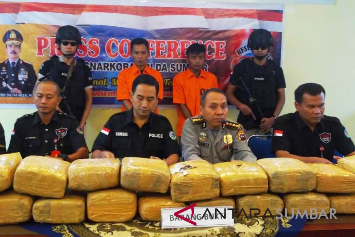 Polda Sumbar sita 19 paket ganja seberat 38 kilogram dari pengedar antarprovinsi