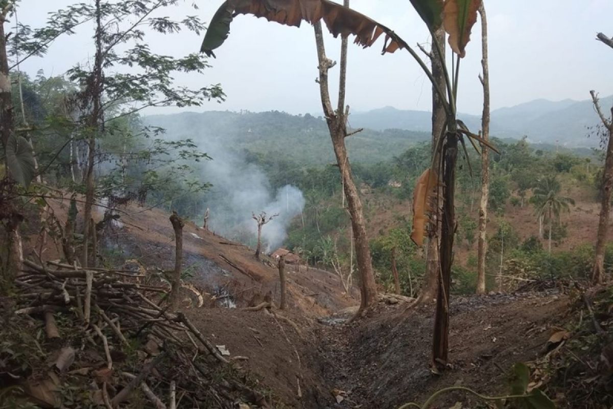 Petani Badui Mulai Bercocok Tanam Ladang