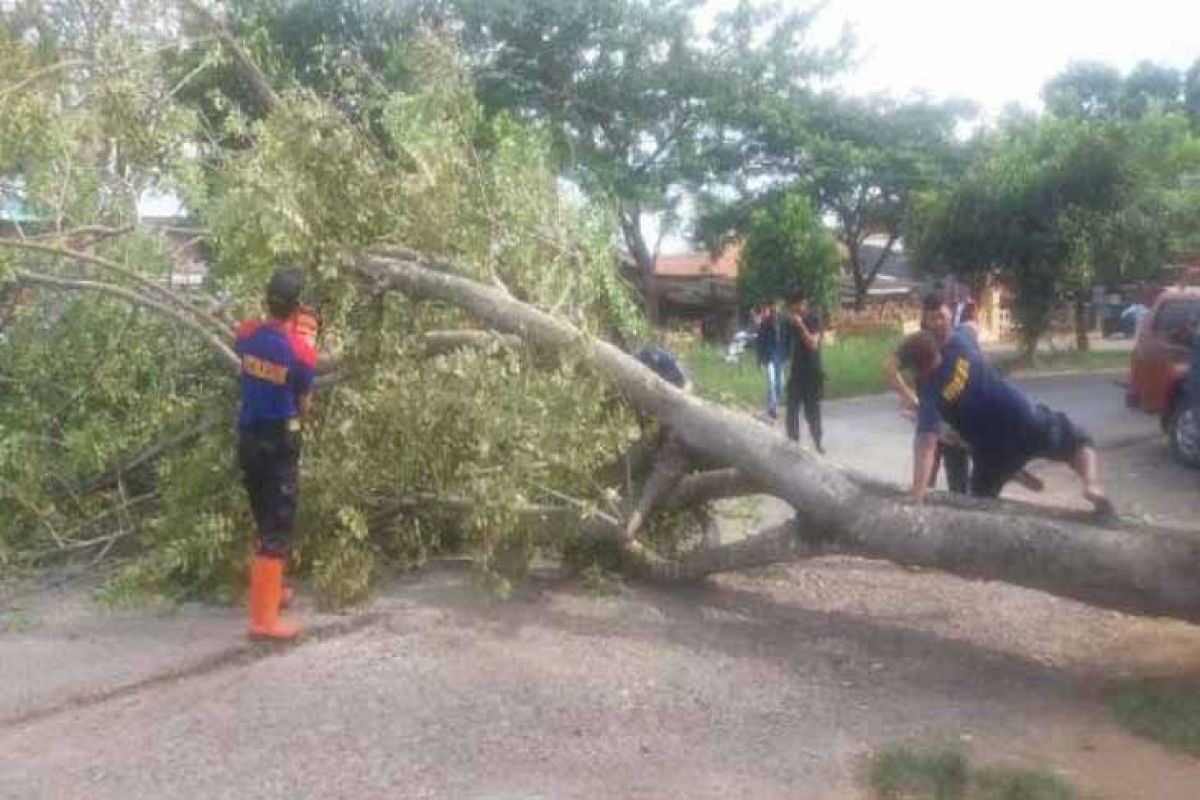 BMKG peringatkan angin kencang di Lampung