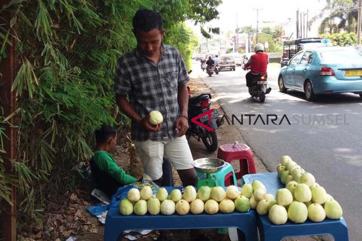 Banyak apel aceh dijual di Palembang