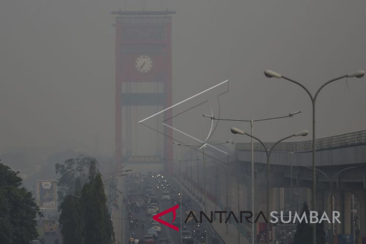 Kabut asap selimuti Pelalawan sejak Kamis Pagi