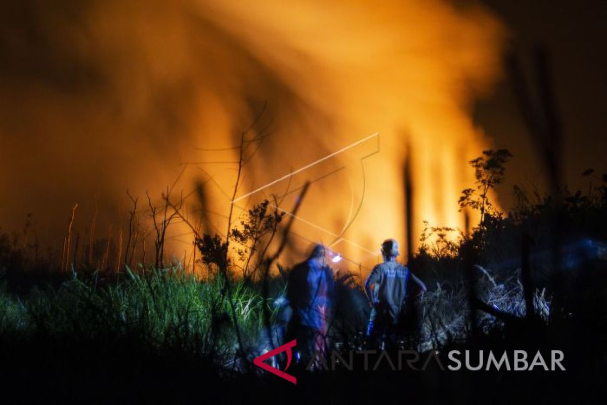 Kebakaran lahan di Riau terus meluas