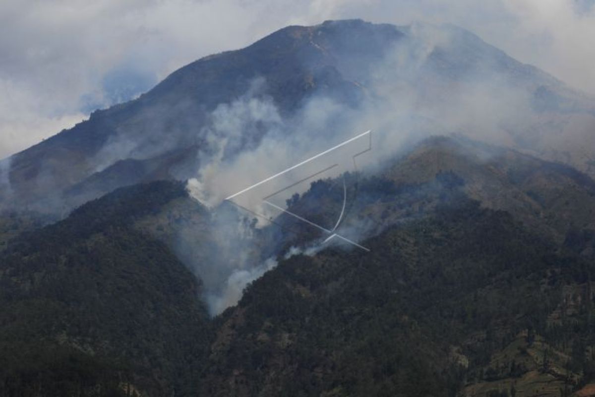 Petugas SAR tewas saat padamkan kebakaran hutan