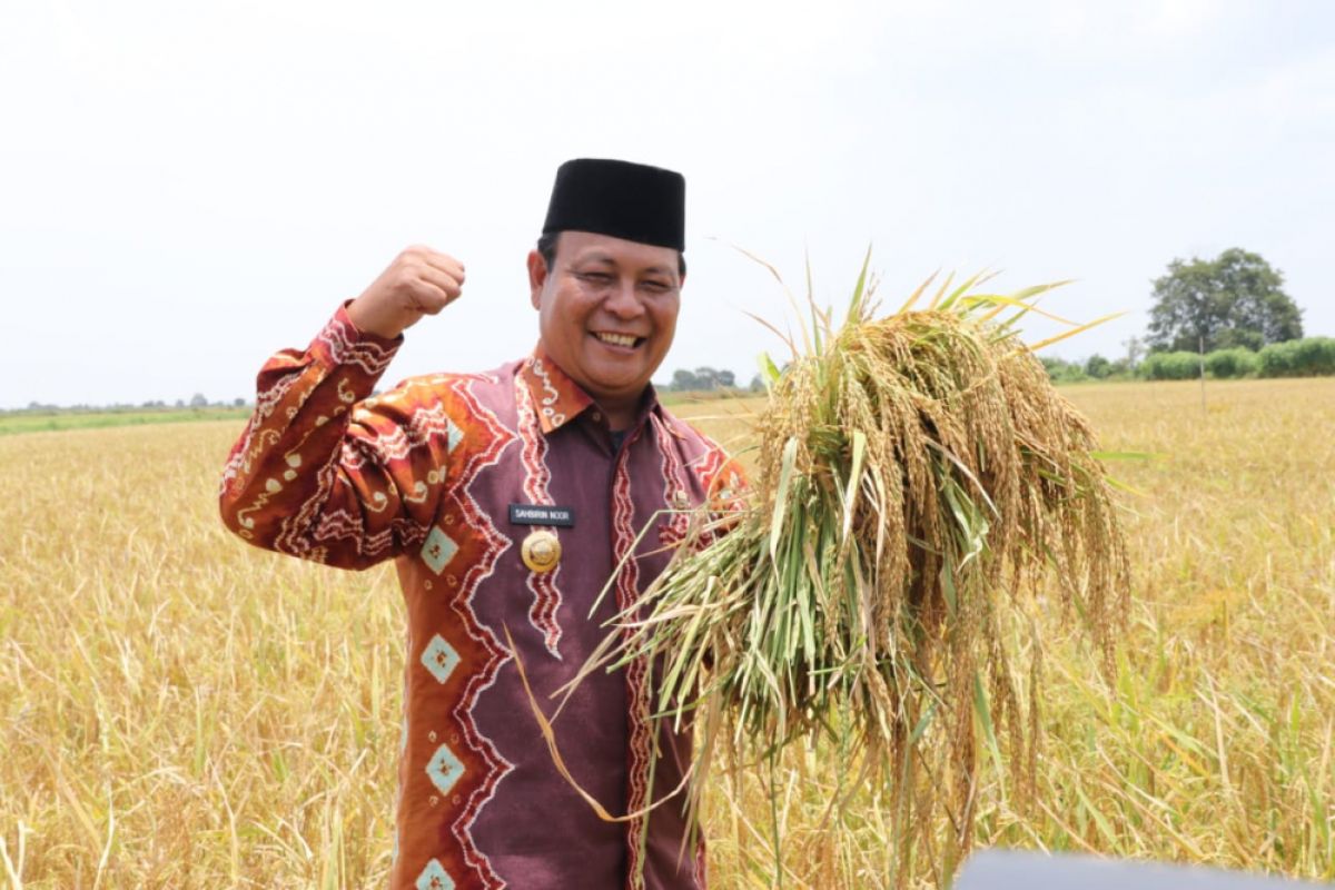 Pemprov  maksimalkan pertanian lahan lebak