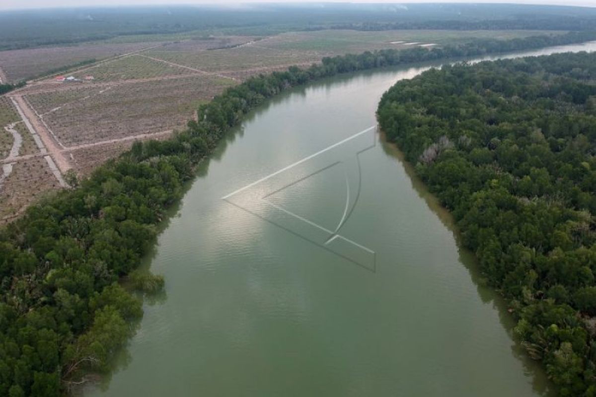 Cagar alam hutan mangrove di Jambi terancam