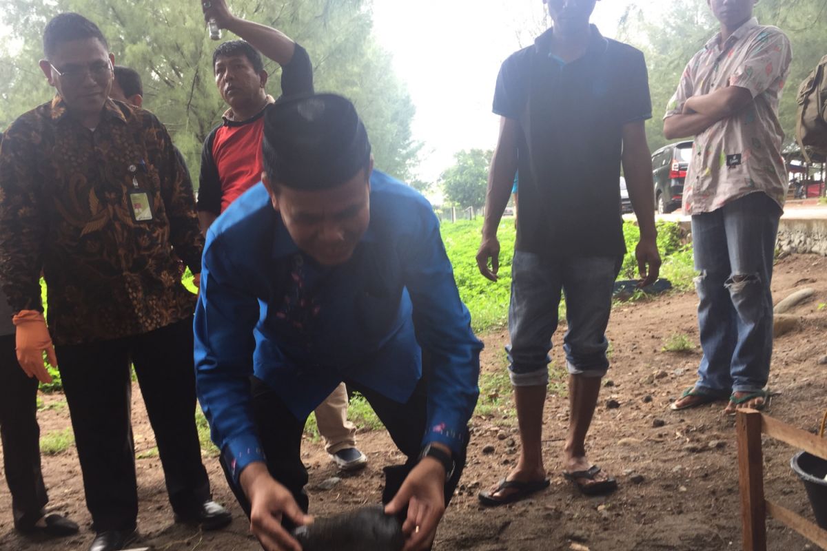 Pertamina bangun jalur pejalan kaki di kawasan mangrove Pariaman