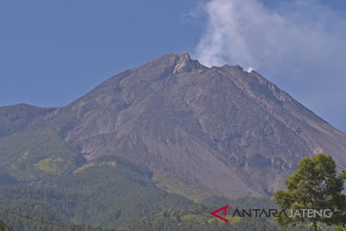 Status waspada, upacara sedekah Merapi tetap digelar