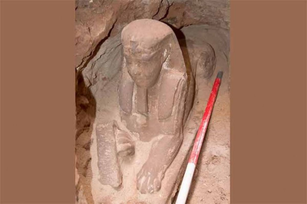 Arkeolog Mesir temukan patung batu Sphinx di kuil Ombo Aswan